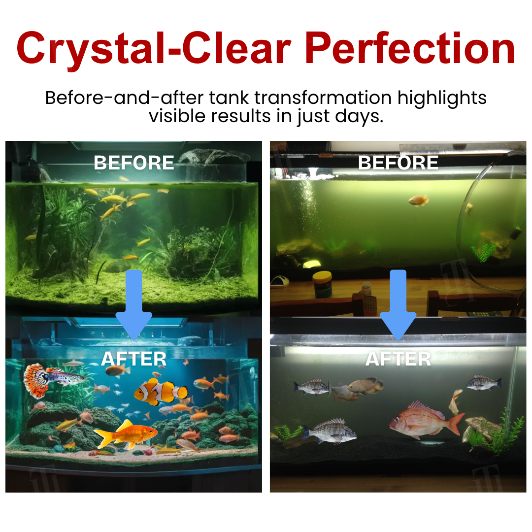 AEXZRยฎ AquaImmune Pro (๐๐% ๐๐ฝ๐ฝ ๐๐ก๐๐ฆ ๐๐ก ๐ญ๐ฌ ๐ ๐๐ก๐จ๐ง๐๐ฆ)
