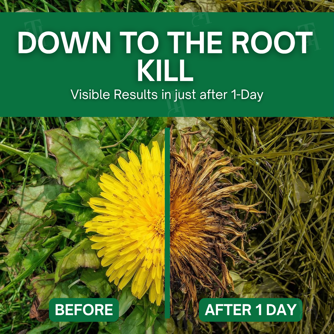 LAST 44 PCS LEFT!!! AEXZR® 3 in 1 Max Power Herbicide