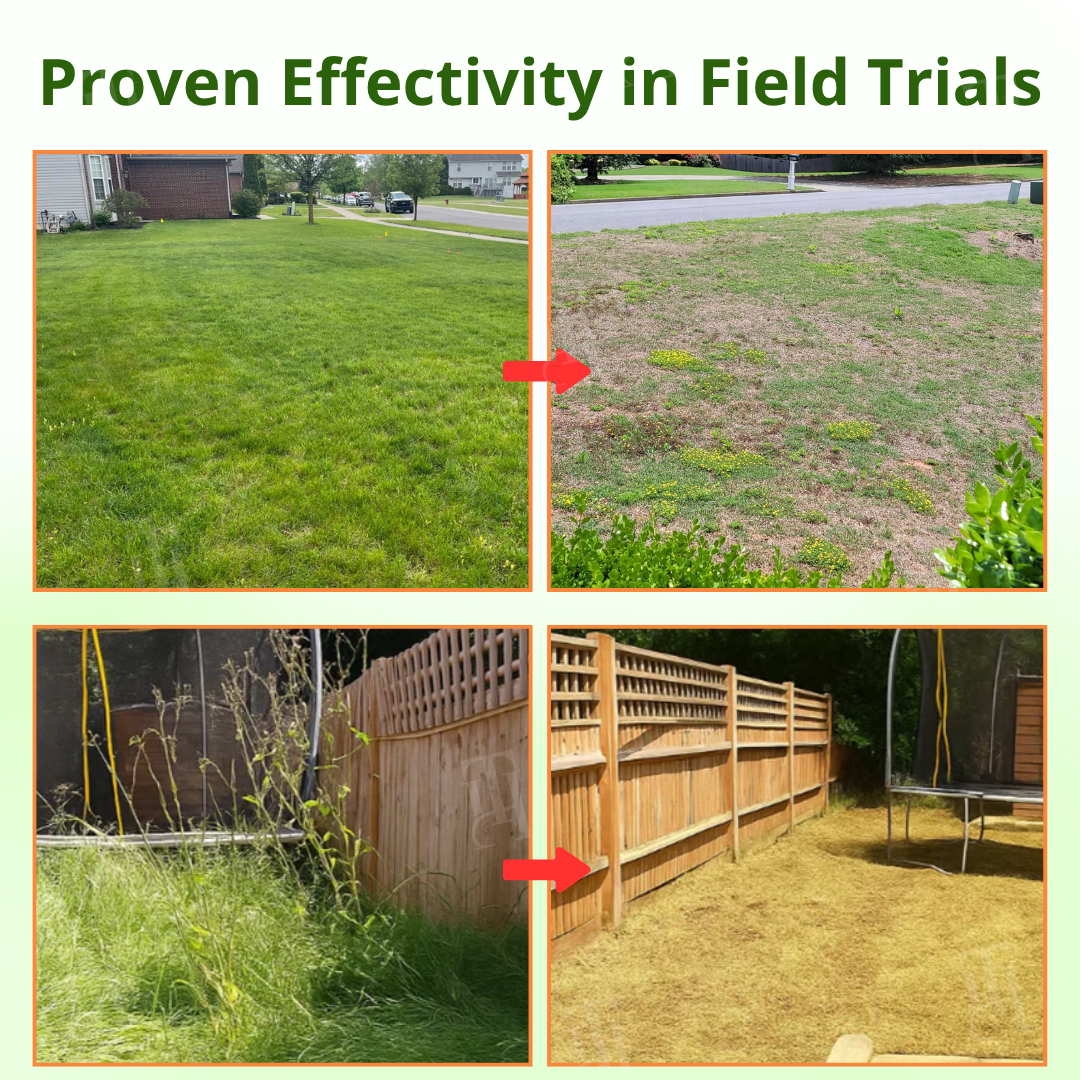 AEXZR® Cyclosinone Herbicide Granules (𝟟𝟘% 𝕆𝔽𝔽 𝗘𝗡𝗗𝗦 𝗜𝗡 𝟭𝟬 𝗠𝗜𝗡𝗨𝗧𝗘𝗦)