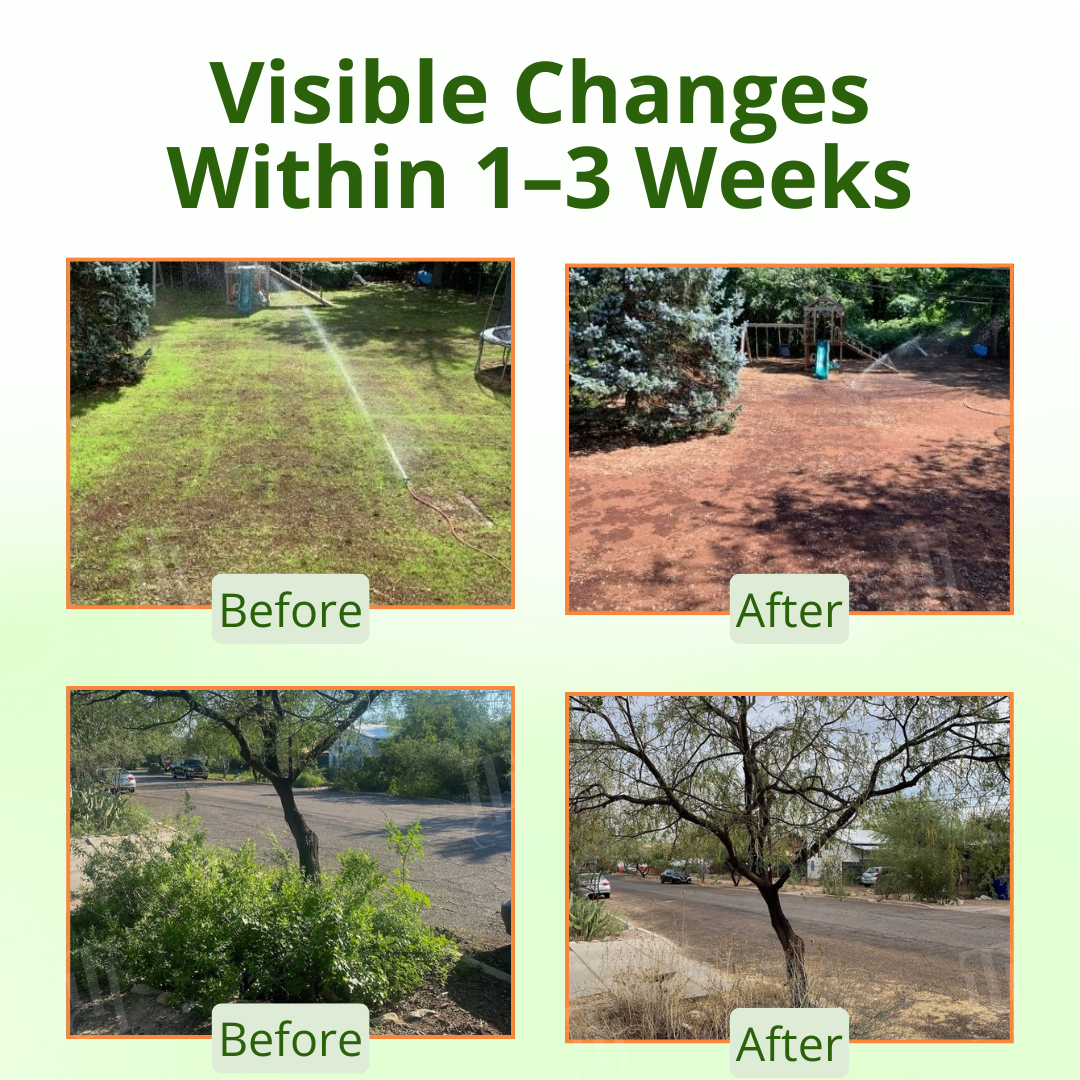 AEXZR® Cyclosinone Herbicide Granules (𝟟𝟘% 𝕆𝔽𝔽 𝗘𝗡𝗗𝗦 𝗜𝗡 𝟭𝟬 𝗠𝗜𝗡𝗨𝗧𝗘𝗦)