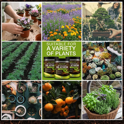 AEXZR® BioChar-Grow Soil Activator (𝟟𝟘% 𝕆𝔽𝔽 𝗘𝗡𝗗𝗦 𝗜𝗡 𝟭𝟬 𝗠𝗜𝗡𝗨𝗧𝗘𝗦)