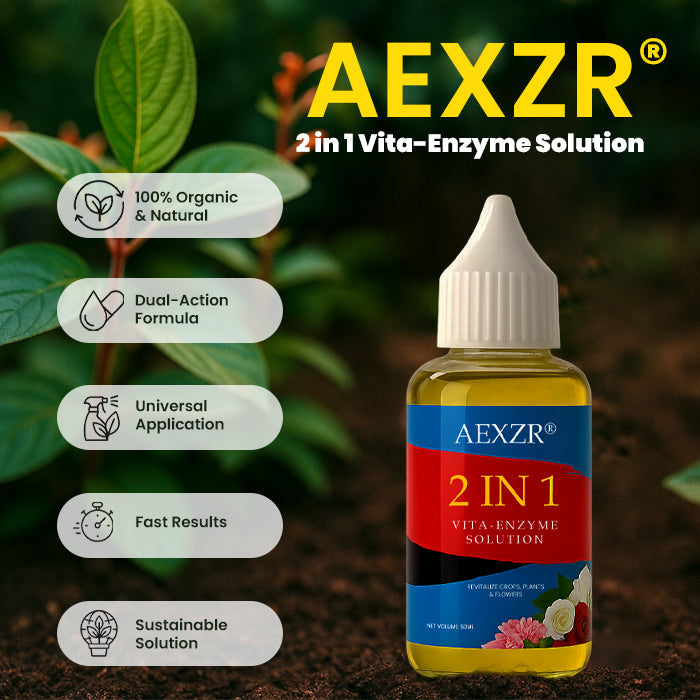 AEXZR® 2 in 1 Vita-Enzyme Solution (𝟟𝟘% 𝕆𝔽𝔽 𝗘𝗡𝗗𝗦 𝗜𝗡 𝟭𝟬 𝗠𝗜𝗡𝗨𝗧𝗘𝗦)
