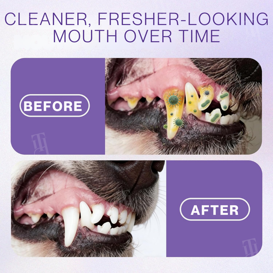 LAST 44 PCS LEFT!!! RZXEA™ Pet Zinc-Gluconate Oral Spray