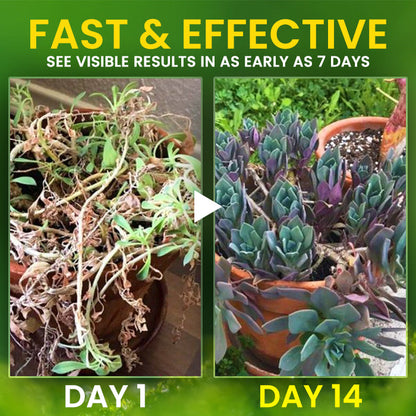 AEXZR® 2 in 1 Vita-Enzyme Solution (𝟟𝟘% 𝕆𝔽𝔽 𝗘𝗡𝗗𝗦 𝗜𝗡 𝟭𝟬 𝗠𝗜𝗡𝗨𝗧𝗘𝗦)