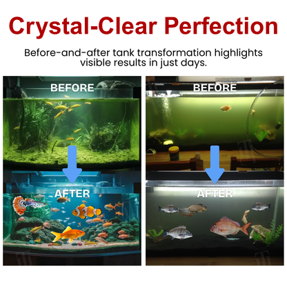AEXZR® AquaImmune Pro (𝟟𝟘% 𝕆𝔽𝔽 𝗘𝗡𝗗𝗦 𝗜𝗡 𝟭𝟬 𝗠𝗜𝗡𝗨𝗧𝗘𝗦)