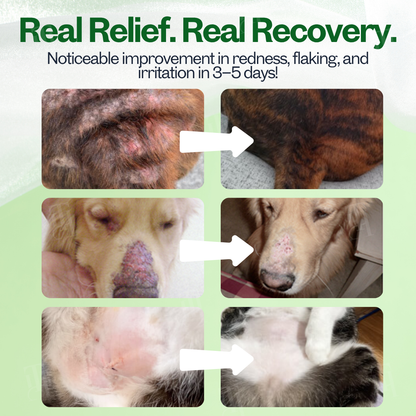 Lotmay® 3 in 1 PhytoBarrier Pet Skin and Coat Care Spray (𝟟𝟘% 𝕆𝔽𝔽 𝗘𝗡𝗗𝗦 𝗜𝗡 𝟭𝟬 𝗠𝗜𝗡𝗨𝗧𝗘𝗦)