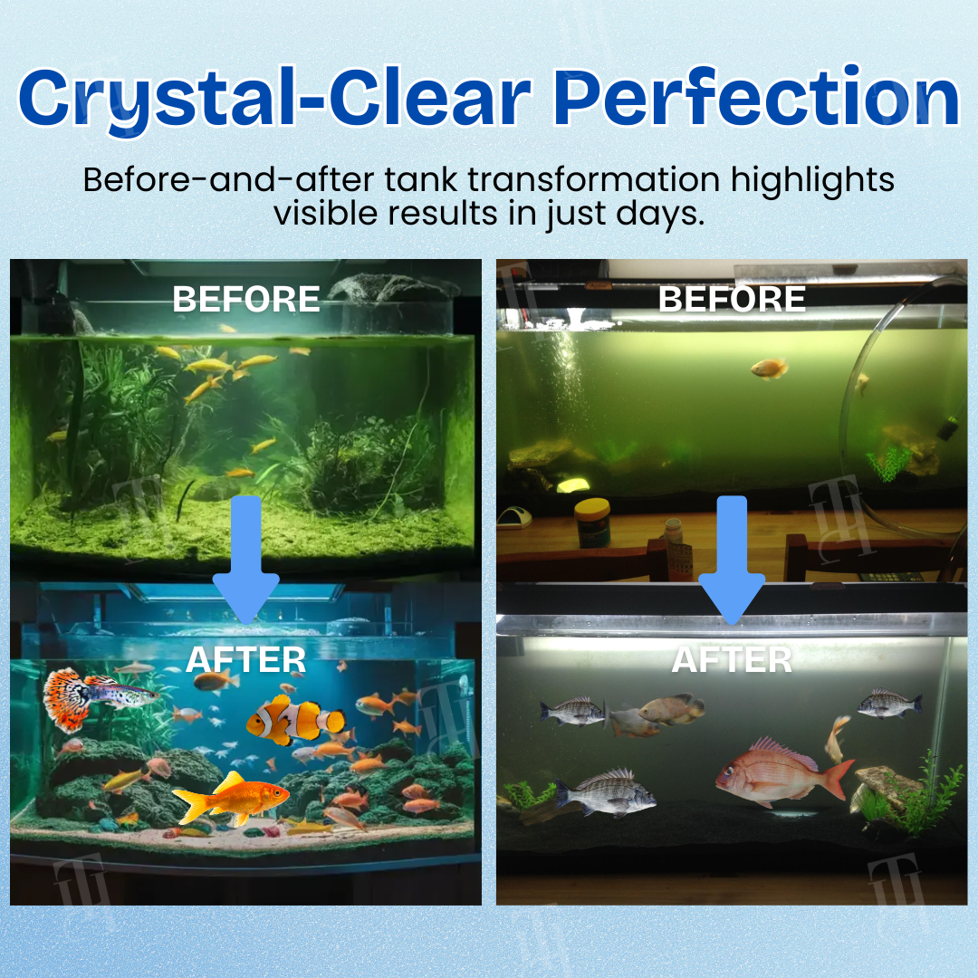 AEXZR® Aquariums Aqua-Guardian Blend (𝟟𝟘% 𝕆𝔽𝔽 𝗘𝗡𝗗𝗦 𝗜𝗡 𝟭𝟬 𝗠𝗜𝗡𝗨𝗧𝗘𝗦)