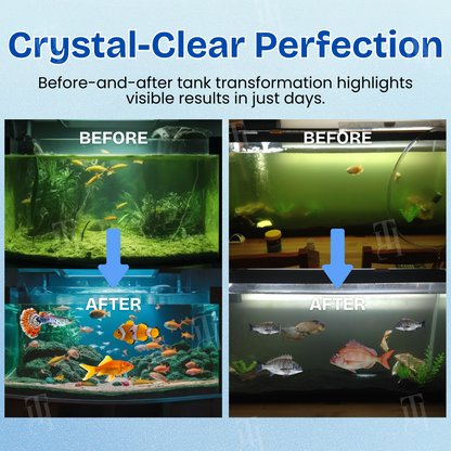 AEXZR® Aquariums Aqua-Guardian Blend (𝟟𝟘% 𝕆𝔽𝔽 𝗘𝗡𝗗𝗦 𝗜𝗡 𝟭𝟬 𝗠𝗜𝗡𝗨𝗧𝗘𝗦)