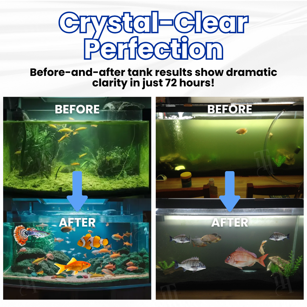 AEXZR® Max-Power Aquarium Purification Tablet (𝟟𝟘% 𝕆𝔽𝔽 𝗘𝗡𝗗𝗦 𝗜𝗡 𝟭𝟬 𝗠𝗜𝗡𝗨𝗧𝗘𝗦)