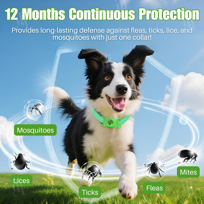 RZXEA™ Pet 12 Months Prevention Collar(𝟟𝟘% 𝕆𝔽𝔽 𝗘𝗡𝗗𝗦 𝗜𝗡 𝟭𝟬 𝗠𝗜𝗡𝗨𝗧𝗘𝗦)