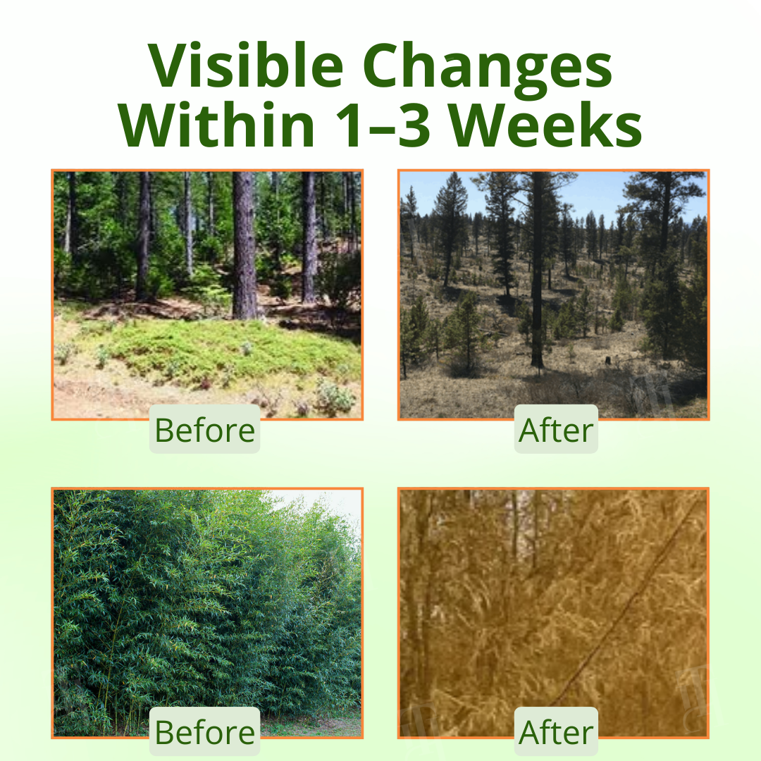 AEXZR® Cyclosinone Herbicide Granules (𝟟𝟘% 𝕆𝔽𝔽 𝗘𝗡𝗗𝗦 𝗜𝗡 𝟭𝟬 𝗠𝗜𝗡𝗨𝗧𝗘𝗦)