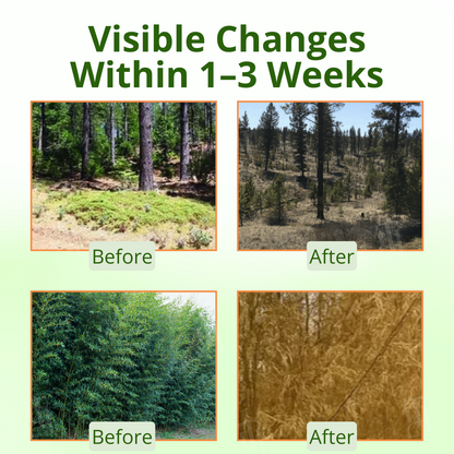 AEXZR® Cyclosinone Herbicide Granules (𝟟𝟘% 𝕆𝔽𝔽 𝗘𝗡𝗗𝗦 𝗜𝗡 𝟭𝟬 𝗠𝗜𝗡𝗨𝗧𝗘𝗦)