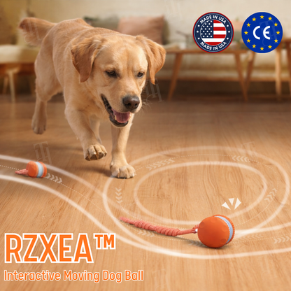 RZXEA™ Interactive Moving Dog Ball (𝟟𝟘% 𝕆𝔽𝔽 𝗘𝗡𝗗𝗦 𝗜𝗡 𝟭𝟬 𝗠𝗜𝗡𝗨𝗧𝗘𝗦)