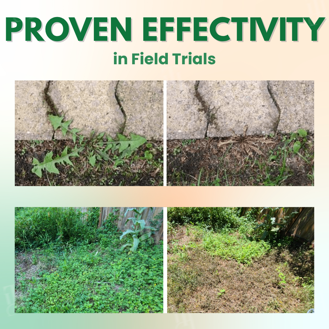 AEXZR® 5 in 1 Max Power Herbicide (𝟟𝟘% 𝕆𝔽𝔽 𝗘𝗡𝗗𝗦 𝗜𝗡 𝟭𝟬 𝗠𝗜𝗡𝗨𝗧𝗘𝗦)