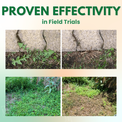 AEXZR® 5 in 1 Max Power Herbicide (𝟟𝟘% 𝕆𝔽𝔽 𝗘𝗡𝗗𝗦 𝗜𝗡 𝟭𝟬 𝗠𝗜𝗡𝗨𝗧𝗘𝗦)