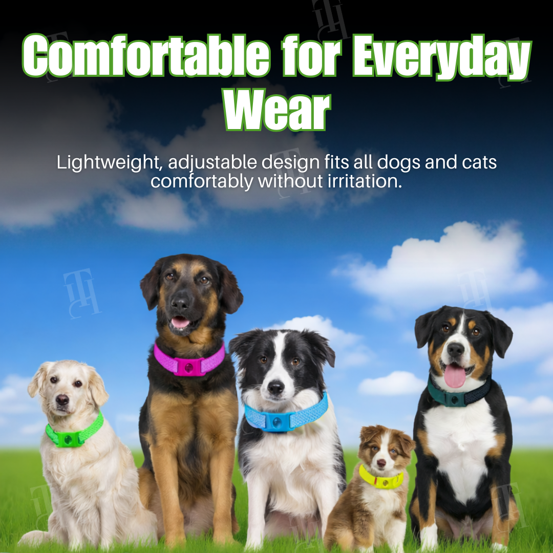 RZXEA™ Pet 12 Months Prevention Collar(𝟟𝟘% 𝕆𝔽𝔽 𝗘𝗡𝗗𝗦 𝗜𝗡 𝟭𝟬 𝗠𝗜𝗡𝗨𝗧𝗘𝗦)