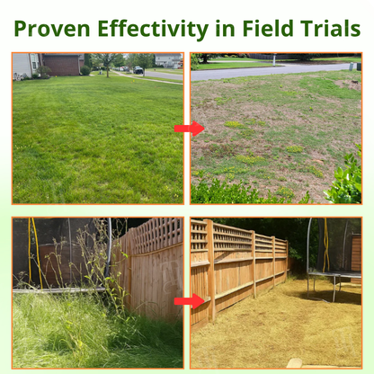 AEXZR® Cyclosinone Herbicide Granules (𝟟𝟘% 𝕆𝔽𝔽 𝗘𝗡𝗗𝗦 𝗜𝗡 𝟭𝟬 𝗠𝗜𝗡𝗨𝗧𝗘𝗦)