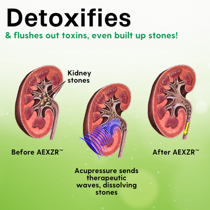 AEXZR™ Kidney Care Acupressure Pads