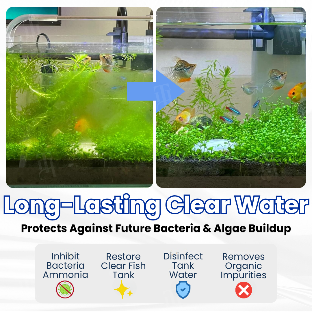 AEXZR® Max-Power Aquarium Purification Tablet (𝟟𝟘% 𝕆𝔽𝔽 𝗘𝗡𝗗𝗦 𝗜𝗡 𝟭𝟬 𝗠𝗜𝗡𝗨𝗧𝗘𝗦)