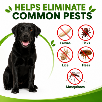 RZXEA™ CedarGuard Flea & Tick Spray (𝟟𝟘% 𝕆𝔽𝔽 𝗘𝗡𝗗𝗦 𝗜𝗡 𝟭𝟬 𝗠𝗜𝗡𝗨𝗧𝗘𝗦)