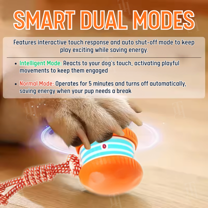 RZXEA™ Interactive Moving Dog Ball (𝟟𝟘% 𝕆𝔽𝔽 𝗘𝗡𝗗𝗦 𝗜𝗡 𝟭𝟬 𝗠𝗜𝗡𝗨𝗧𝗘𝗦)
