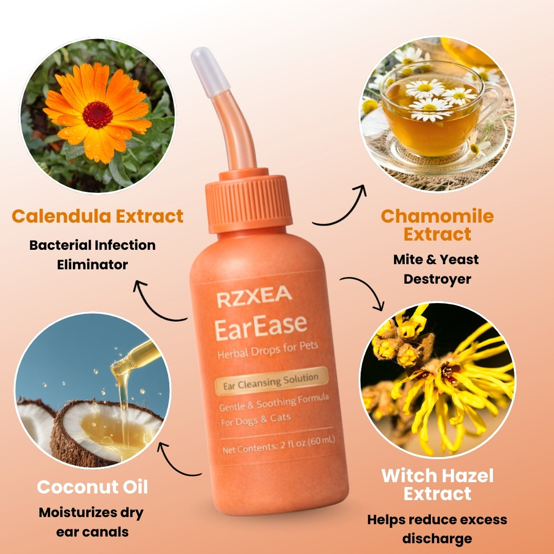 RZXEA™ EarEase Herbal Drops (𝟟𝟘% 𝕆𝔽𝔽 𝗘𝗡𝗗𝗦 𝗜𝗡 𝟭𝟬 𝗠𝗜𝗡𝗨𝗧𝗘𝗦)
