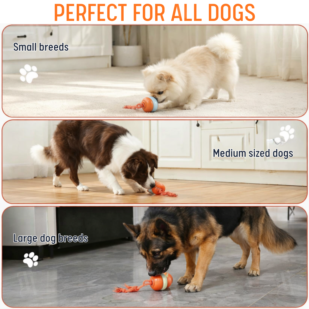 RZXEA™ Interactive Moving Dog Ball (𝟟𝟘% 𝕆𝔽𝔽 𝗘𝗡𝗗𝗦 𝗜𝗡 𝟭𝟬 𝗠𝗜𝗡𝗨𝗧𝗘𝗦)