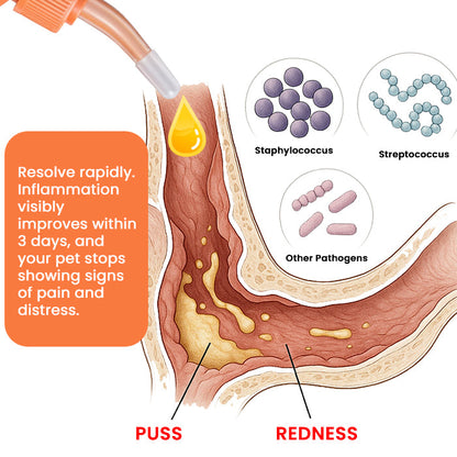 RZXEA™ EarEase Herbal Drops (𝟟𝟘% 𝕆𝔽𝔽 𝗘𝗡𝗗𝗦 𝗜𝗡 𝟭𝟬 𝗠𝗜𝗡𝗨𝗧𝗘𝗦)