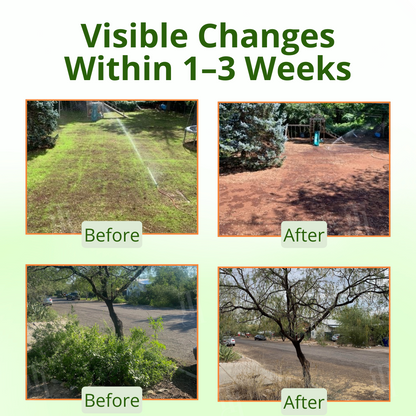 AEXZR® Cyclosinone Herbicide Granules (𝟟𝟘% 𝕆𝔽𝔽 𝗘𝗡𝗗𝗦 𝗜𝗡 𝟭𝟬 𝗠𝗜𝗡𝗨𝗧𝗘𝗦)