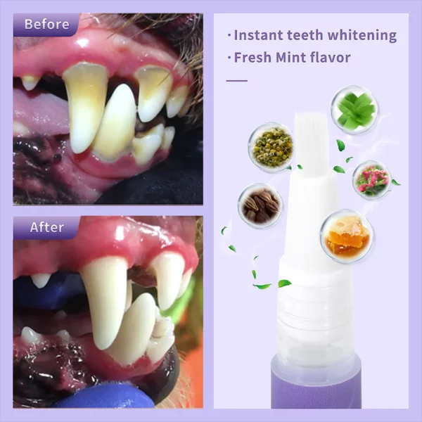 Cvreoz® Pet Oral Repair Gel