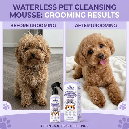 RZXEA™ Waterless Pet Cleansing Mousse (𝟟𝟘% 𝕆𝔽𝔽 𝗘𝗡𝗗𝗦 𝗜𝗡 𝟭𝟬 𝗠𝗜𝗡𝗨𝗧𝗘𝗦)