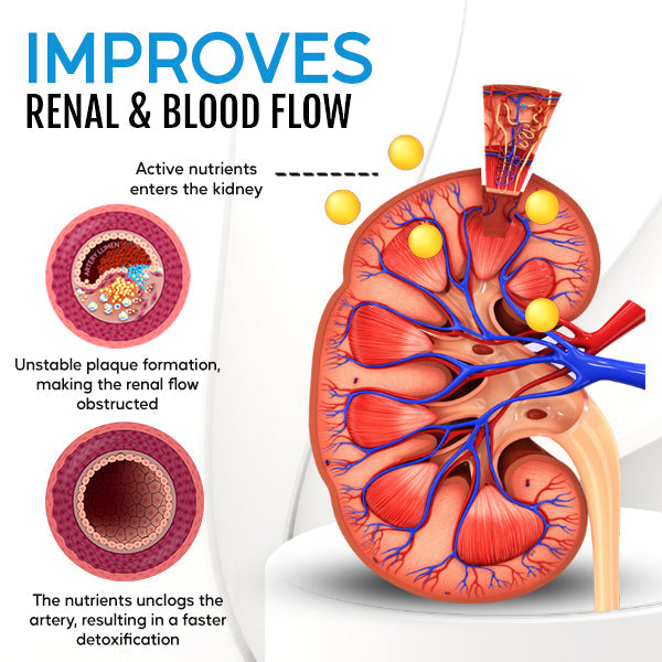 Cvreoz® Kidney Boost & Care Inhaler (𝟟𝟘% 𝕆𝔽𝔽 𝗘𝗡𝗗𝗦 𝗜𝗡 𝟭𝟬 𝗠𝗜𝗡𝗨𝗧𝗘𝗦)